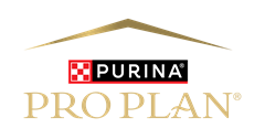 Pro Plan